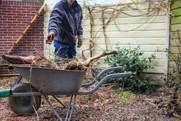 Gardener with wheelbarrow