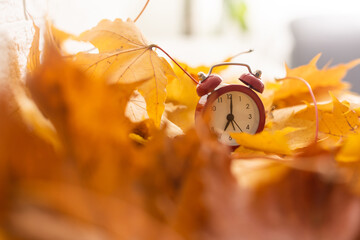 Vintage black alarm clock on autumn leaves. Time change abstract photo. Daylight saving time.