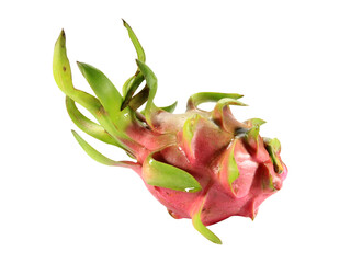 One dragon fruit isolated on white background.