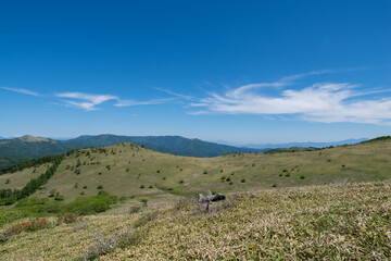 Obraz premium 爽やかな高原 霧ヶ峰高原