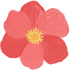 Poppy flower hand drawn illustration