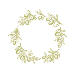 Olive circle pattern. Green branch, texture leaves