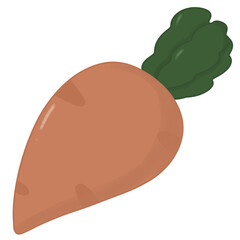 Carrot6