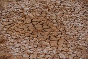 The soil is cracked,which is a phenomenon of natural drought which is the result of the El Niño
