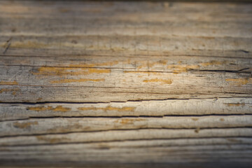 old wood background