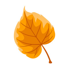 Illustration of linden leaf. Decorative autumn foliage.