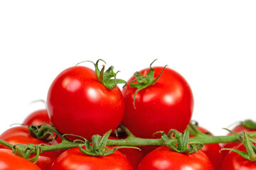 Strauchtomaten isoliert vor weißem Hintergrund