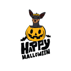 Happy Halloween postcard with Miniature Pinscher dog peeking out from the pumpkin. Dog head in pumpkin. October hand-drawn calligraphy with halloween funny icons. Festive Creative Halloween Art Work. 