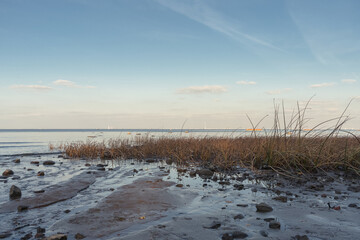 autumn shore view at Peterhof