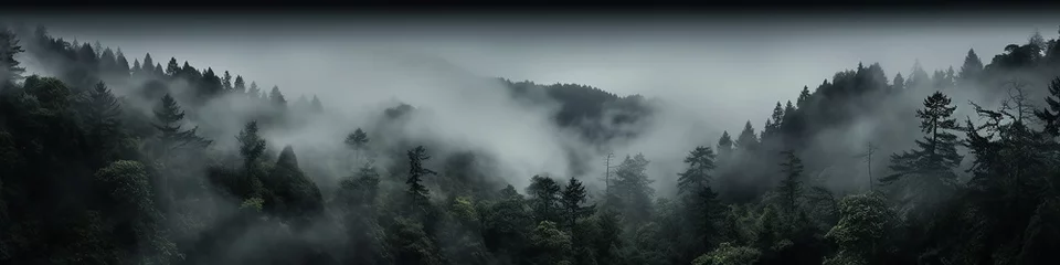 Photo sur Plexiglas Gris foncé a long narrow panorama of a coniferous northern forest in the fog of an autumn day, a landscape of wildlife