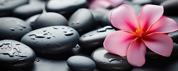 spa and wellness wallpaper with pink flower and stones illustration