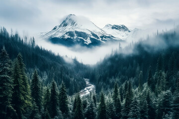 Drone photo of a foggy valley in Southern Oregon in winter.  - obrazy, fototapety, plakaty