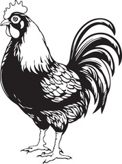 Rooster bird, Farm animal, Vector Illustration, SVG