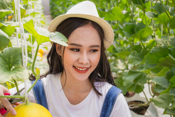 Young asian woman happy and smiling, smart farmers and entrepreneurs in garden, tablet checking quality, recording science analyzing data melon product in greenhouses, record growth and biological.