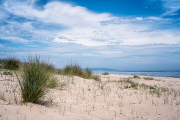Fototapeta na wymiar Wild beach with sandy dunes at Kamchia sands reserve the Black Sea coast near Varna, Bulgaria.
