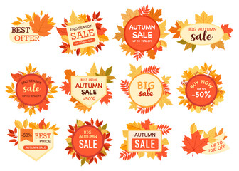 Autumn sale badge with colorful leaves and creative promotion lettering inscription isolated set