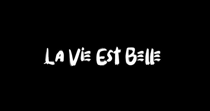 La Vie Est Belle Grunge Transition Bold Text Typography Animation on Black Background 