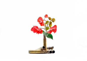 A plant growing from bullet casings