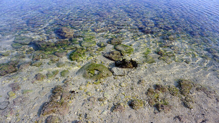 Coral Sea Bali Indonesia