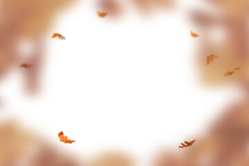 Autumn leaf border. Wave of falling leaves. Leaf fall flying png.  Autumn  leaves. Leaves in the wind. golden orange brown colour of maple tree leaves in autumn