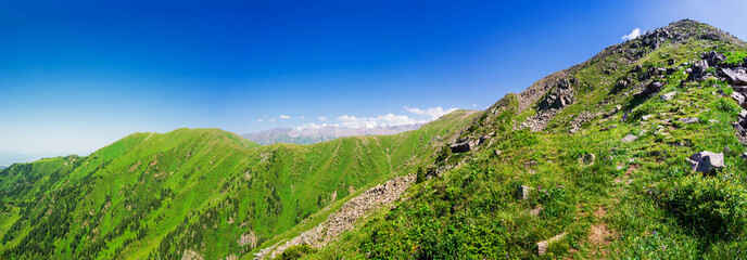 Beautiful mountain panorama in summer - 643996956