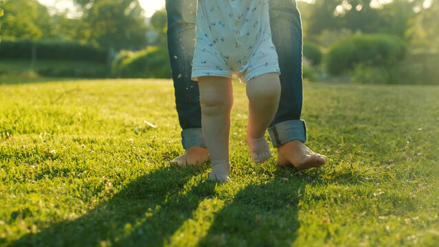 Walking children's bare feet on a green lawn close-up. Child learns to take the first steps on the grass. Baby learns to walk with the help of his mother on a green grass in the park.