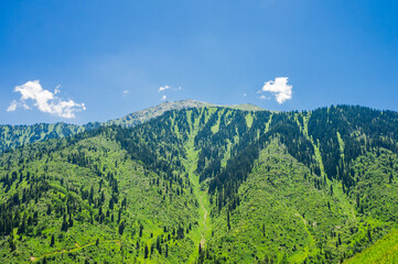 Beautiful mountain landscape in summer - 643997129