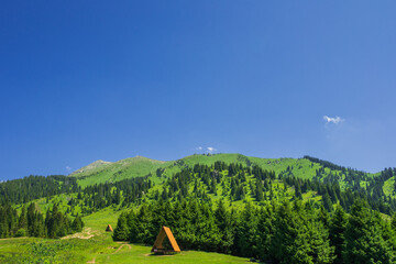 Beautiful mountain landscape in summer - 643997185