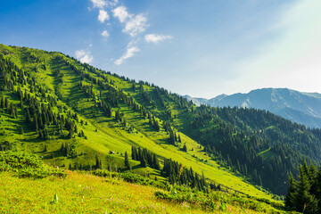 mountain landscape in summer - 643997353
