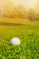 Golf ball is placed on a sunlit green.