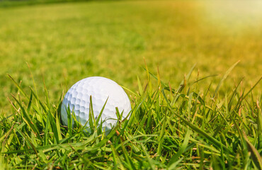 Golf ball is placed on a sunlit green.