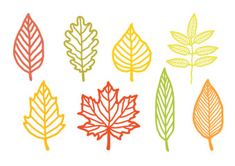 autumn colorful leaves hand drawn silhouettes - 643999143