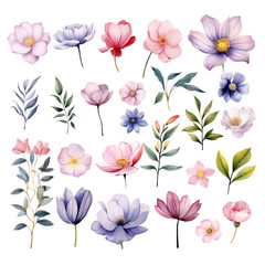 Fototapeta na wymiar Set of Flower Watercolor Clipart Perfect for Wedding Card Design Element