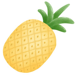 pineapple fruit illustration 