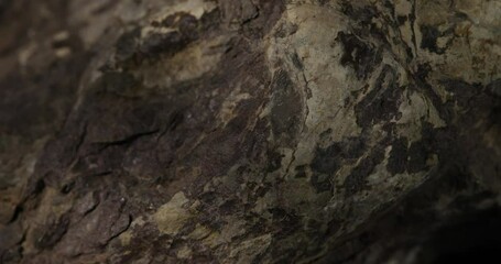 grey stone texture close-up. structure rought mountain surface. macro shot of a rock. natural mineral background. 