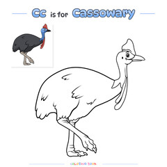  Coloring Page Cassowary Bird Cartoon