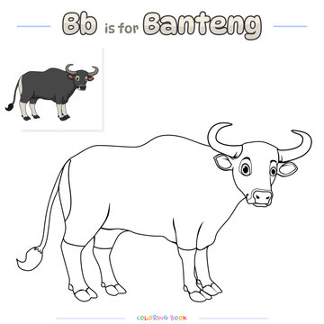 Coloring Page Banteng or Bull Cartoon