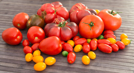 Different varieties of ripe red and yellow appetizing tomatoes