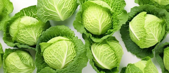 Fototapeta premium cabbage synonym isolated pastel background Copy space