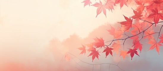 Naklejka na ściany i meble Gorgeous Thai autumn scene with red leaves at sunset isolated pastel background Copy space