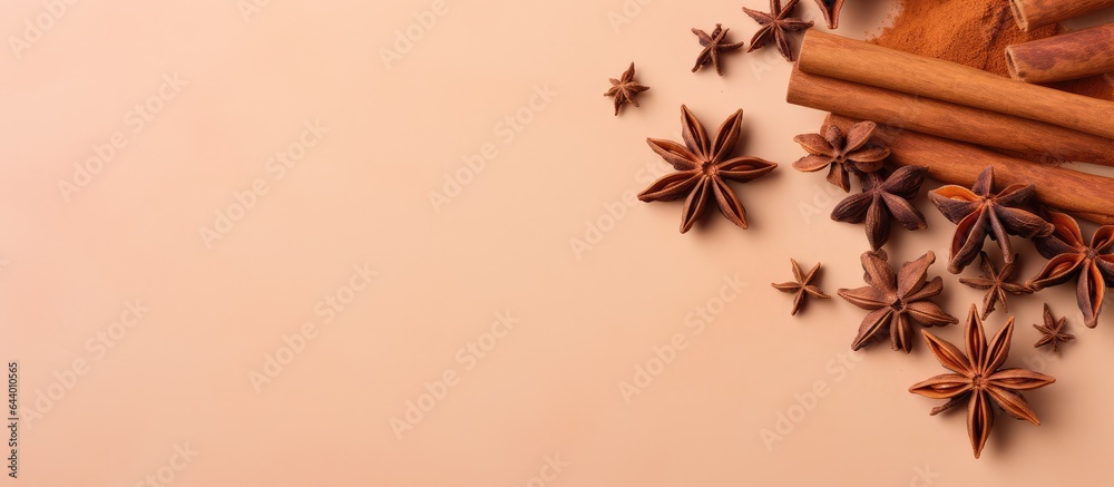 Poster close up of cinnamon sticks and star anise on a isolated pastel background copy space