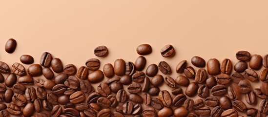 Coffee beans on a isolated pastel background Copy space