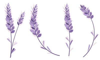 Floral vector illustration. Cute lavender sprigs in monochrome purple color. Vector illustration