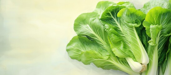 Bok choy or pak choi on isolated pastel background Copy space en background with sack cloth packed with Vitamin C K and Calcium for strong bones - obrazy, fototapety, plakaty