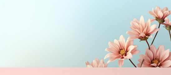 Floral stock on isolated pastel background Copy space
