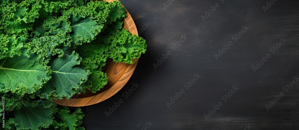 Poster kale leaves isolated on a isolated pastel background copy space with copy space