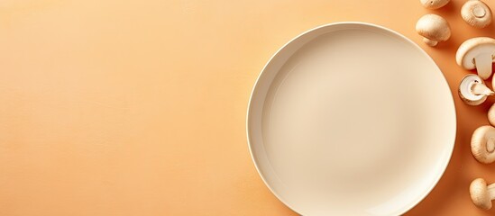 dish with mushroom isolated pastel background Copy space
