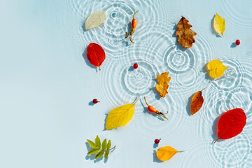 Concept of an autumn background with leaves on transparent water with ripples