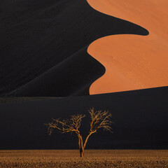 Yin and Yang dune