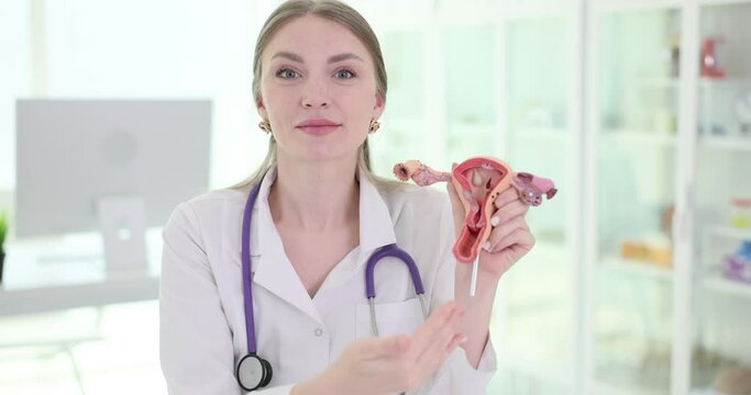 Doctor shows an anatomical model of uterus and ovaries with pathologies closeup. Gynecological diseases and treatment